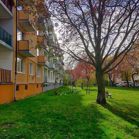 Appartement Muszelka à Kołobrzeg Extérieur photo